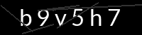 PHP Captcha for Piwigo