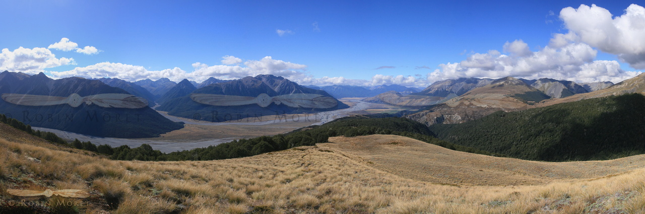 12NZL742_31_IMG_2570-IMG_2579 - (69) - 8393x2863.jpg