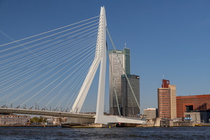 Erasmus bridge - Rotterdam