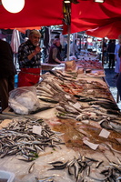 Catania - Fish market